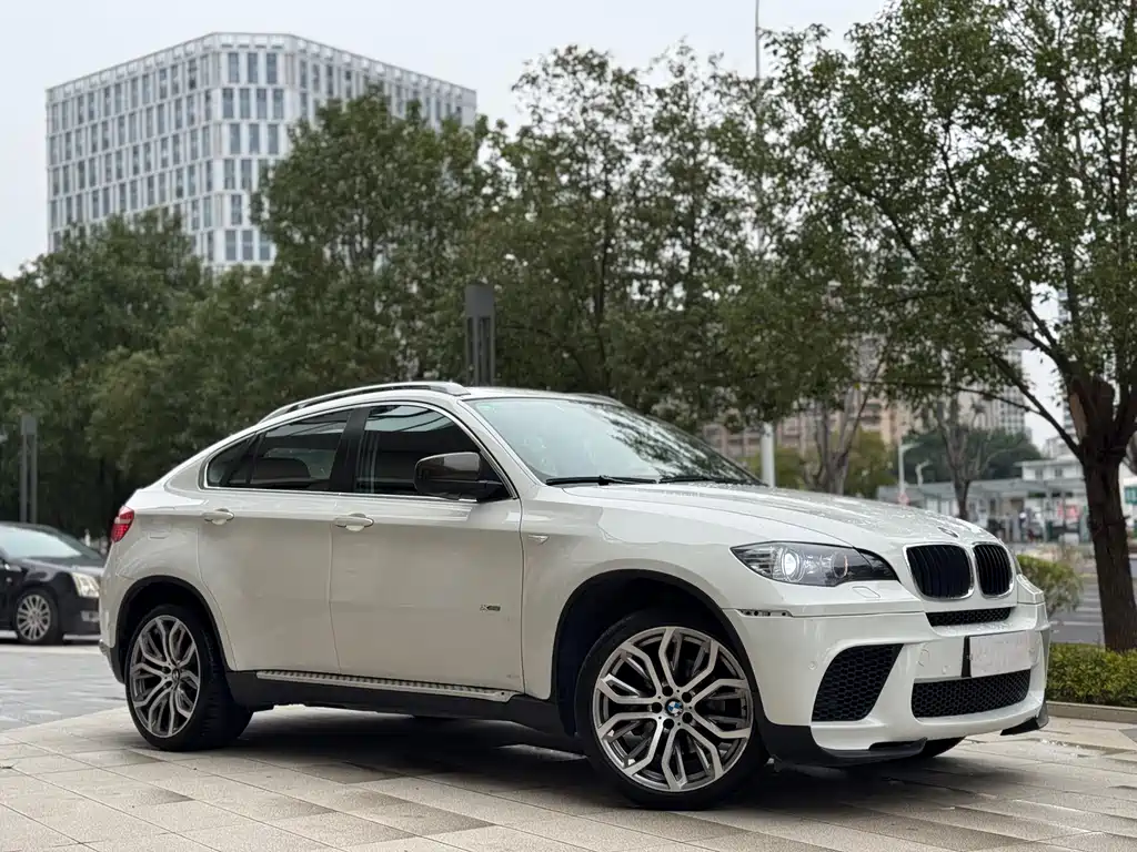 BMW X6 2009 xDrive35i