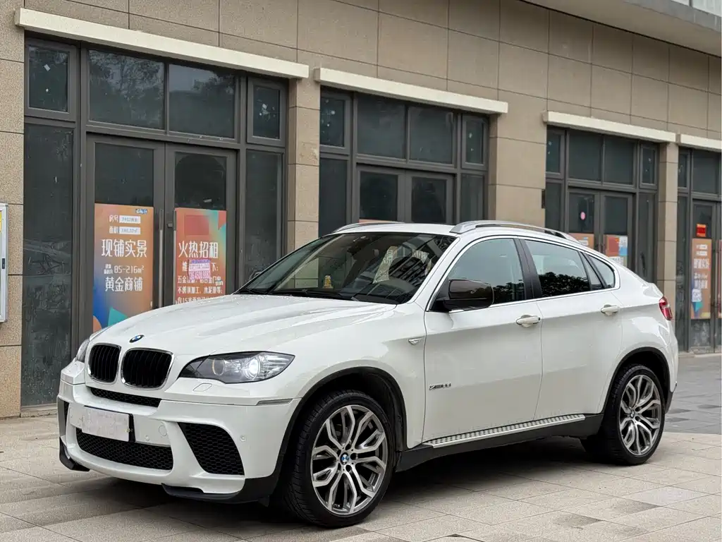 BMW X6 2010