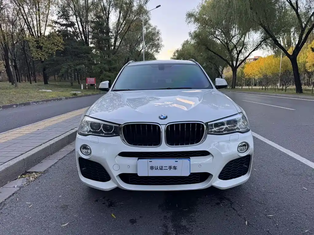 BMW X3 (Import) — миниатюра 2