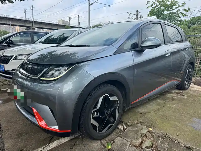 2022 BYD Dolphin