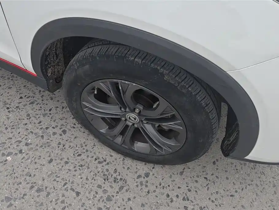 DONGFENG SCENERY 500