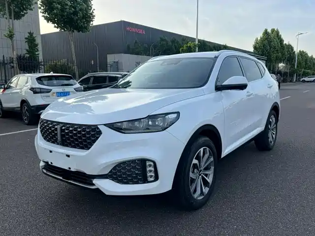 2019 Wey VV6