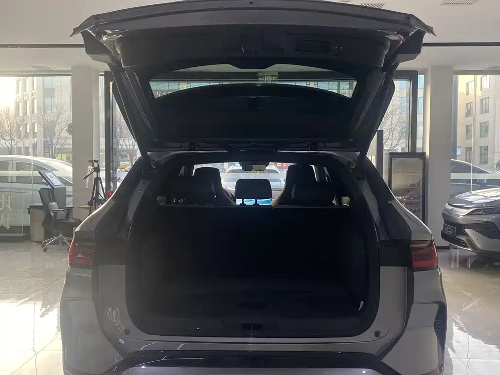 BYD SONGJIANG NEW ENERGY