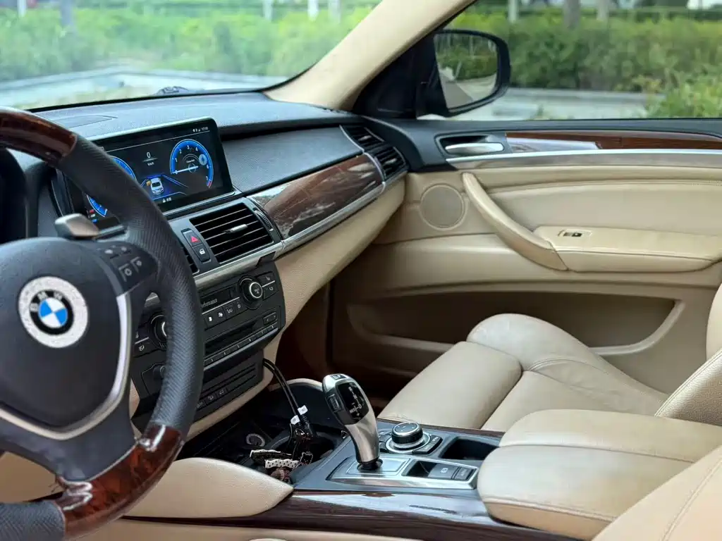 BMW X6 — миниатюра 12