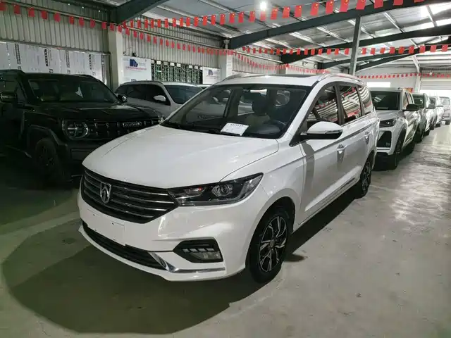 BAOJUN  360 2019