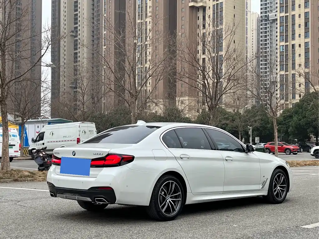 BMW 5 SERIES