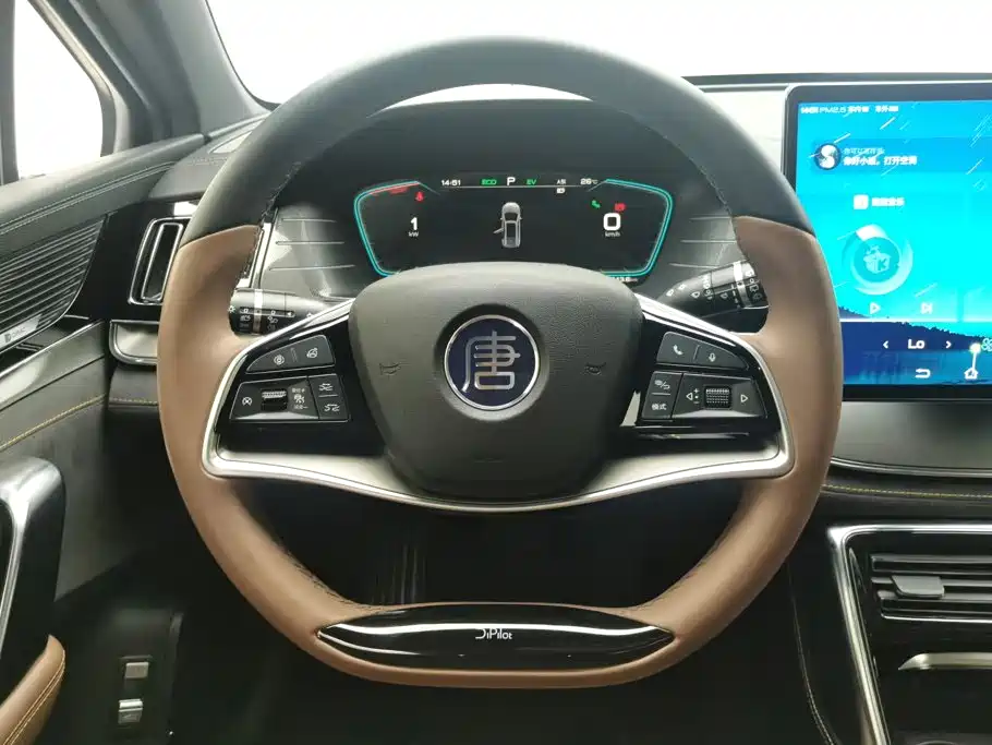 BYD Tang New Energy — миниатюра 15