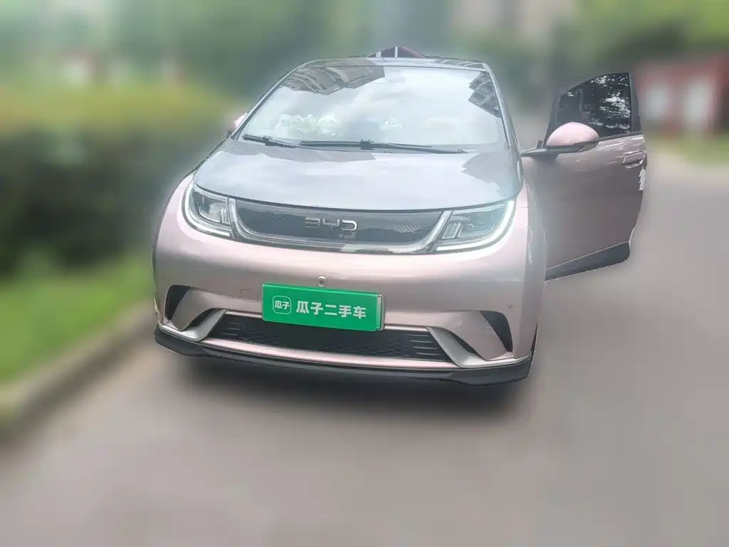 BYD Dolphin — миниатюра 2