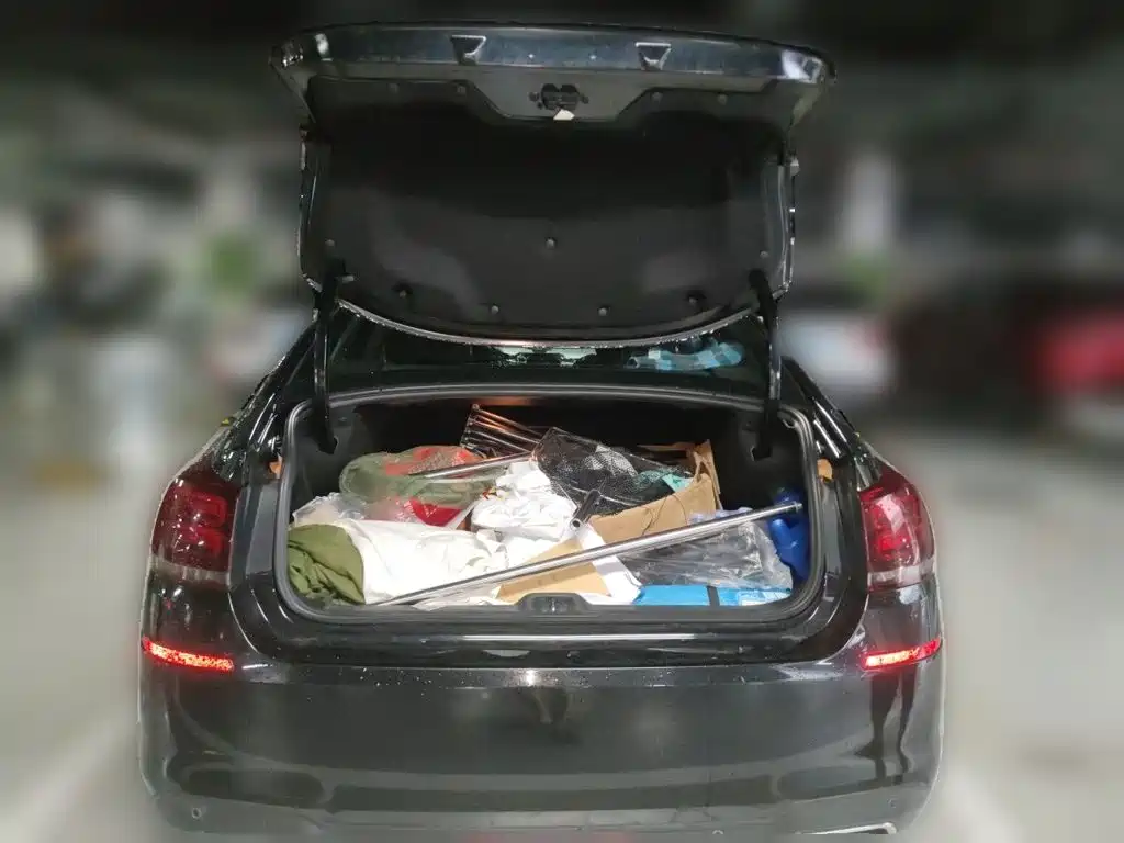 Citroen C5 — миниатюра 10