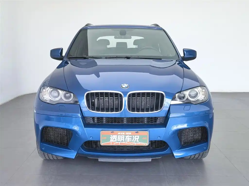 BMW X5 M 2010 X5 M