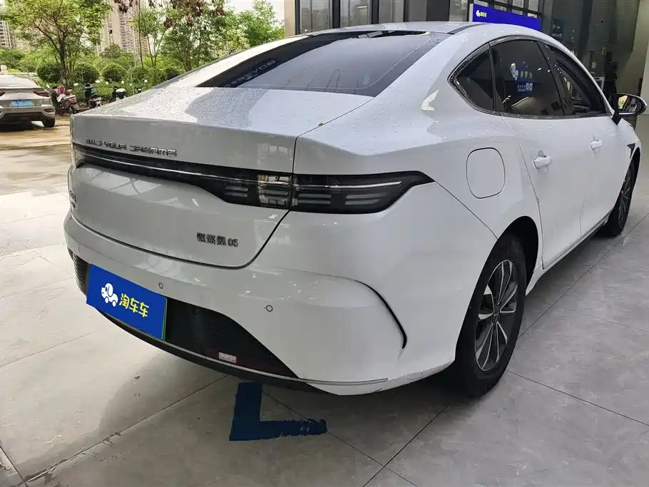 BYD Destroyer 05 2023 Champion DM-i 55KM Luxury