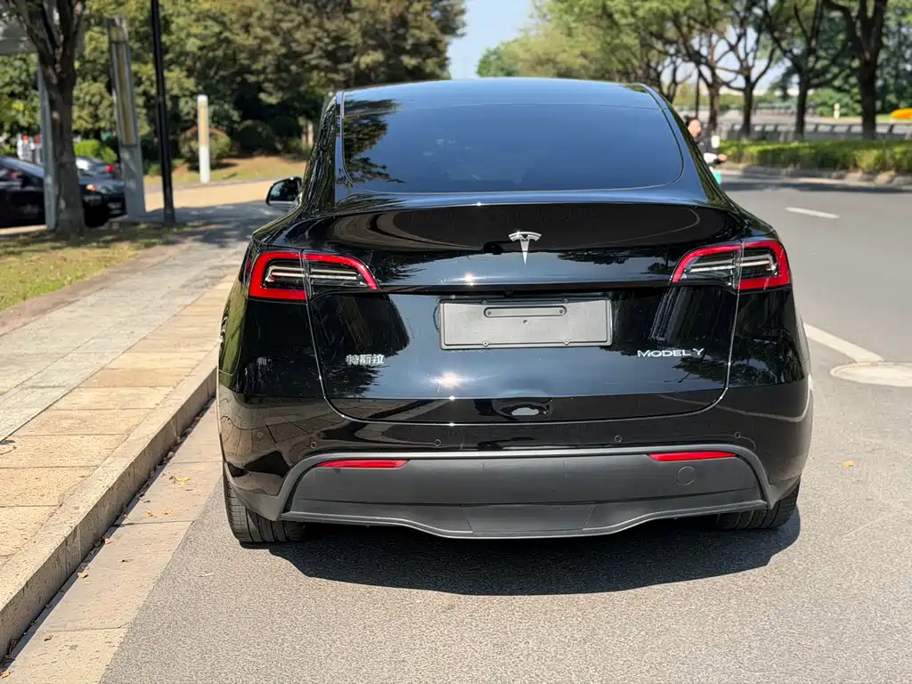 Tesla Model Y — миниатюра 6