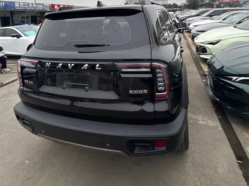 HAVAL BIG DOG