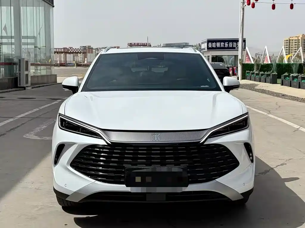 BYD L DM-i
