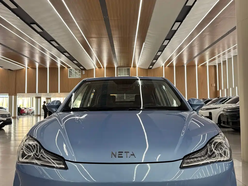 Neta Neta V — миниатюра 2