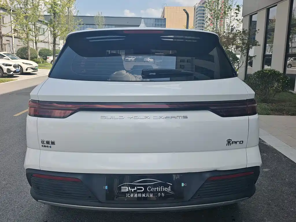 BYD Pro New Energy — миниатюра 9
