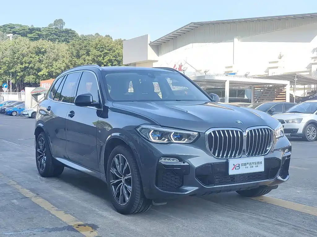 BMW X5 (Import) — миниатюра 3