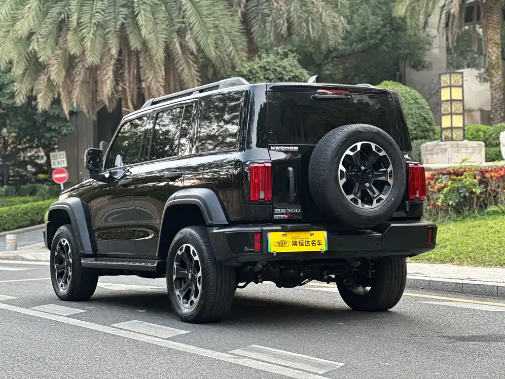 TANK TANK 300 NEW ENERGY