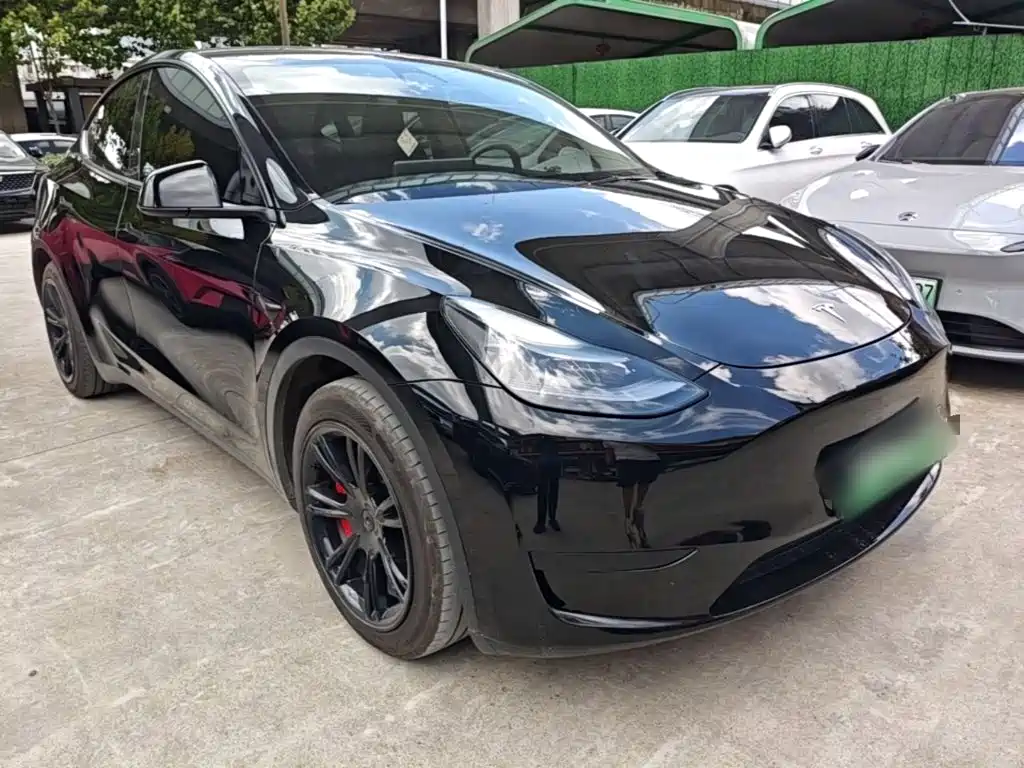Tesla Model Y — миниатюра 4