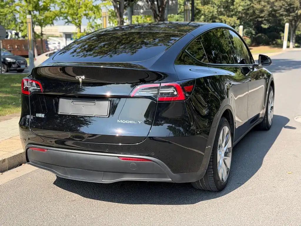 Tesla Model Y — миниатюра 7