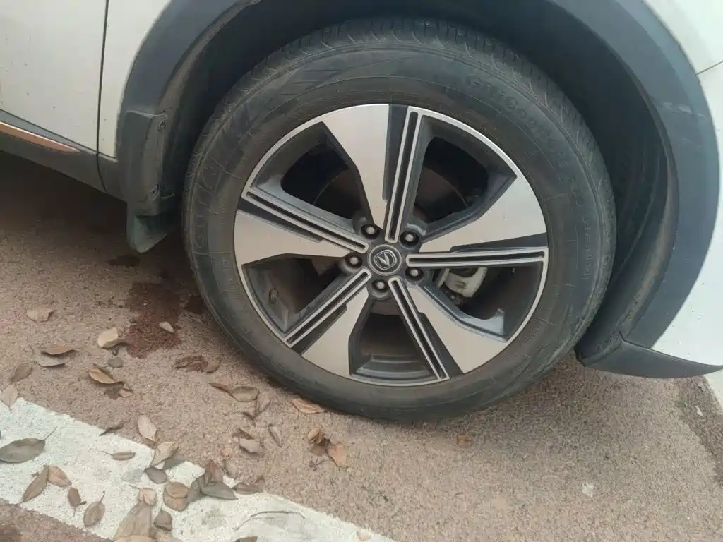 Changan CS55PLUS — миниатюра 8