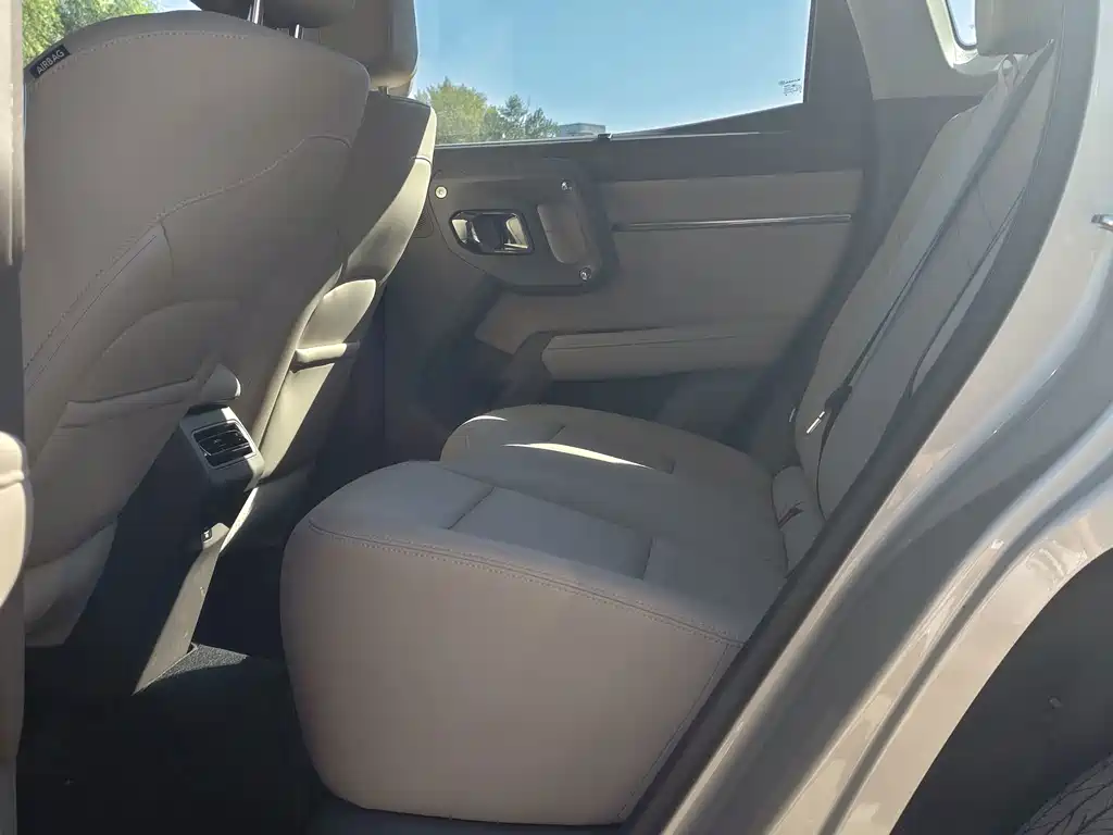 Haval Big Dog PLUS New Energy — миниатюра 18