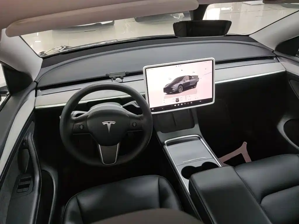 Tesla Model Y — миниатюра 10