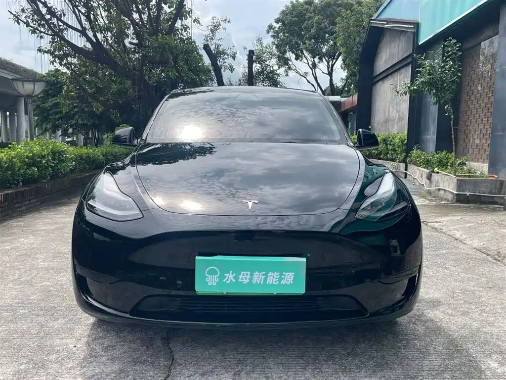 Tesla Model Y — миниатюра 2