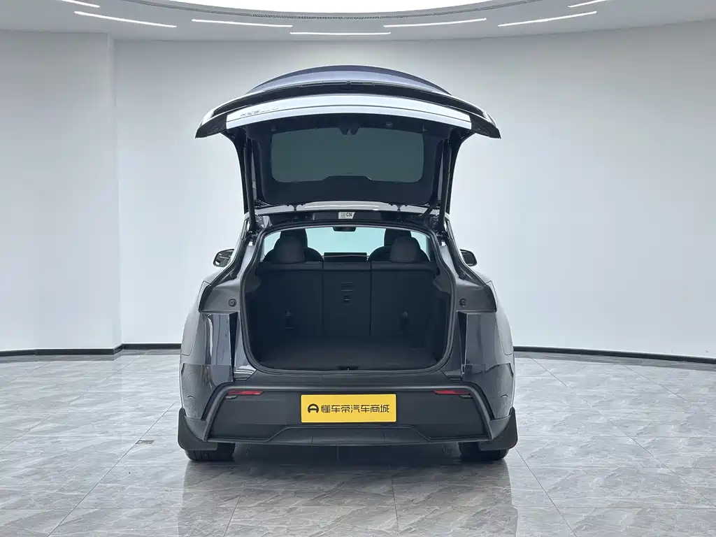 Tesla Model Y — миниатюра 9