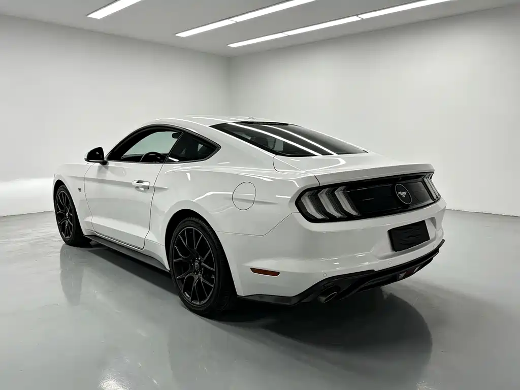 Ford Mustang — миниатюра 14