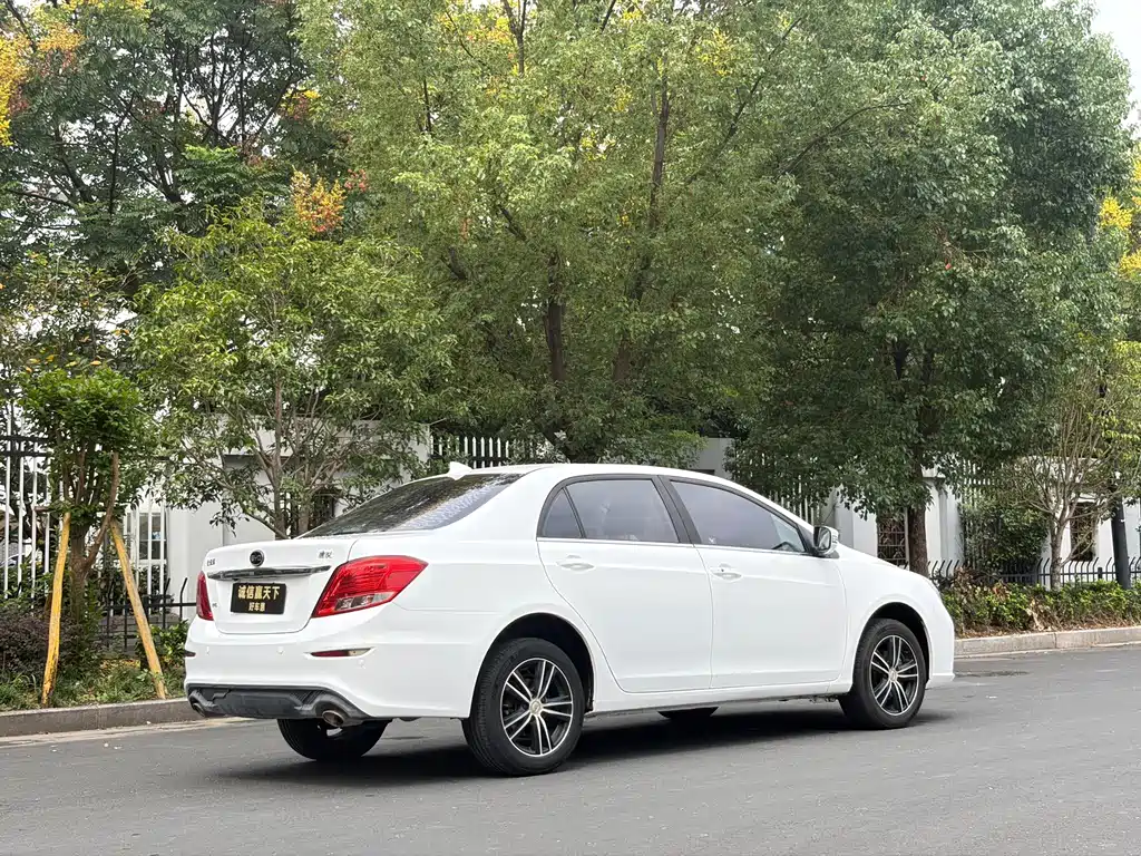 BYD Surui — миниатюра 8