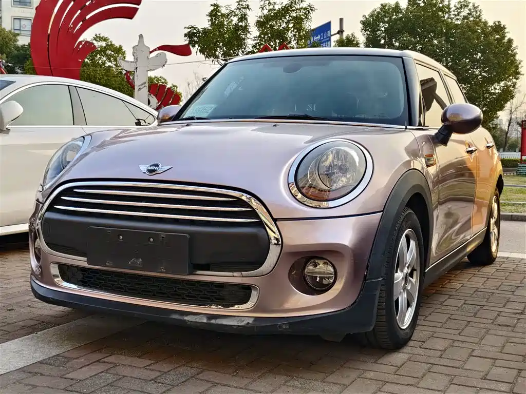 Mini Mini 2016