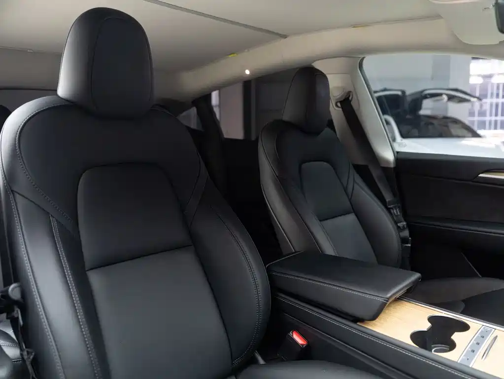 Tesla Model Y — миниатюра 13