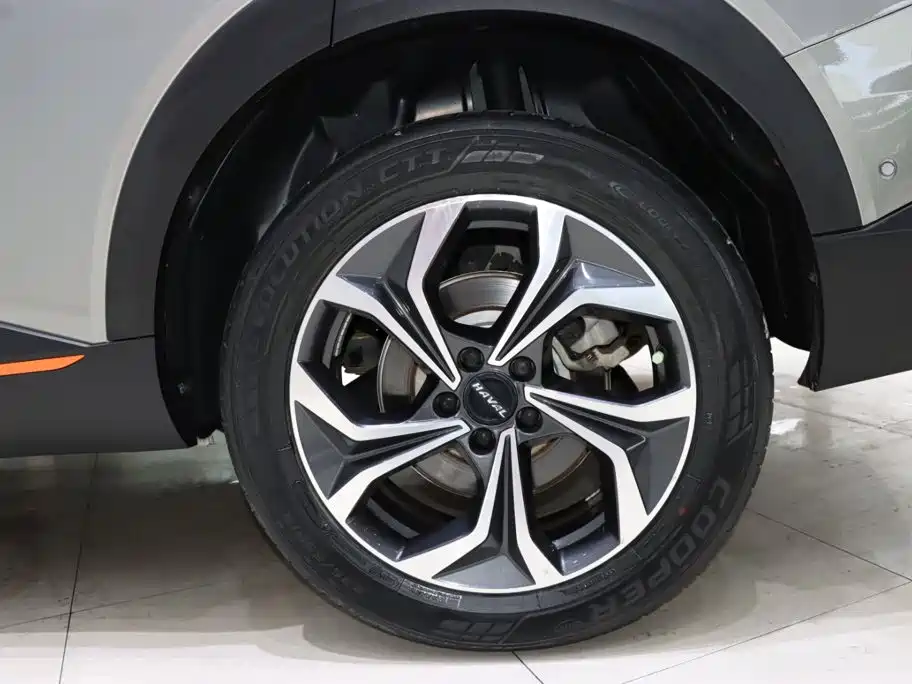 Haval Shenshou — миниатюра 15
