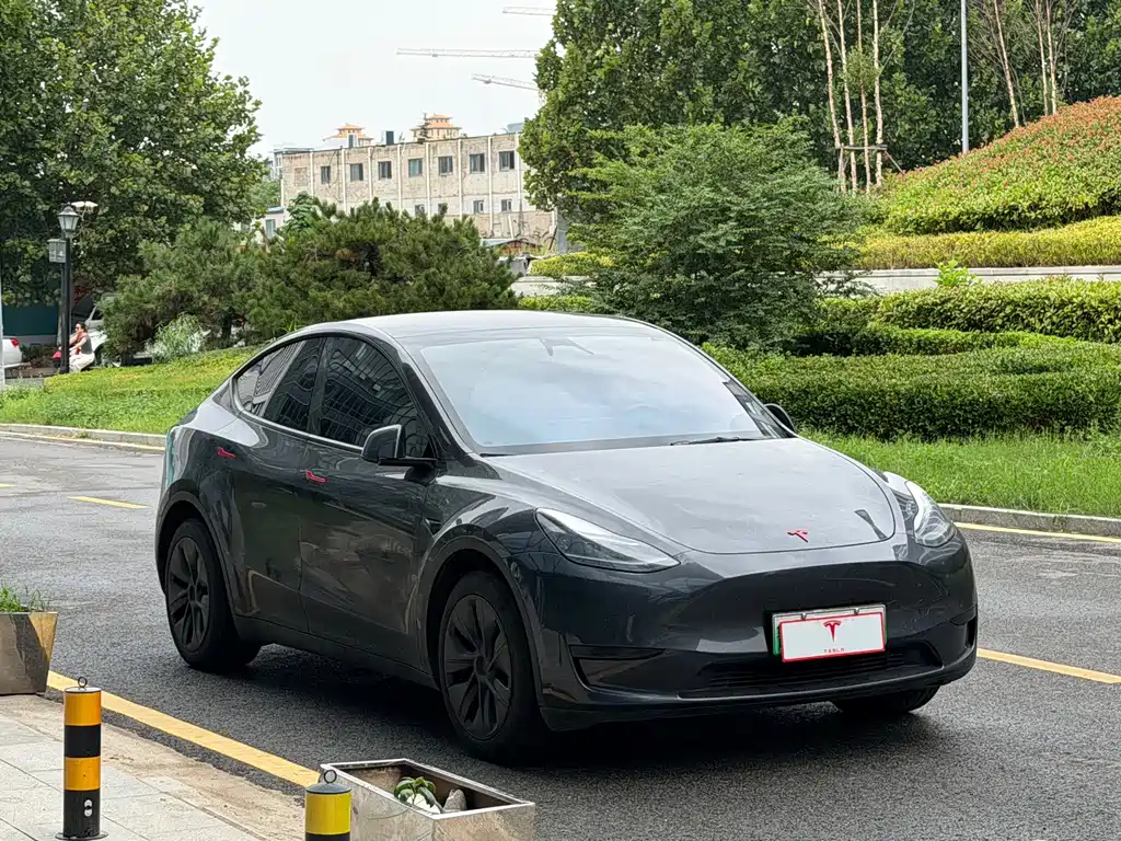 Tesla Model Y — миниатюра 3