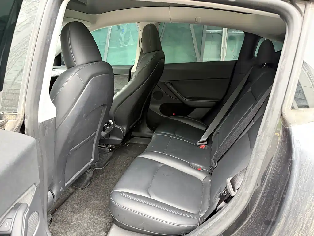 Tesla Model Y — миниатюра 8