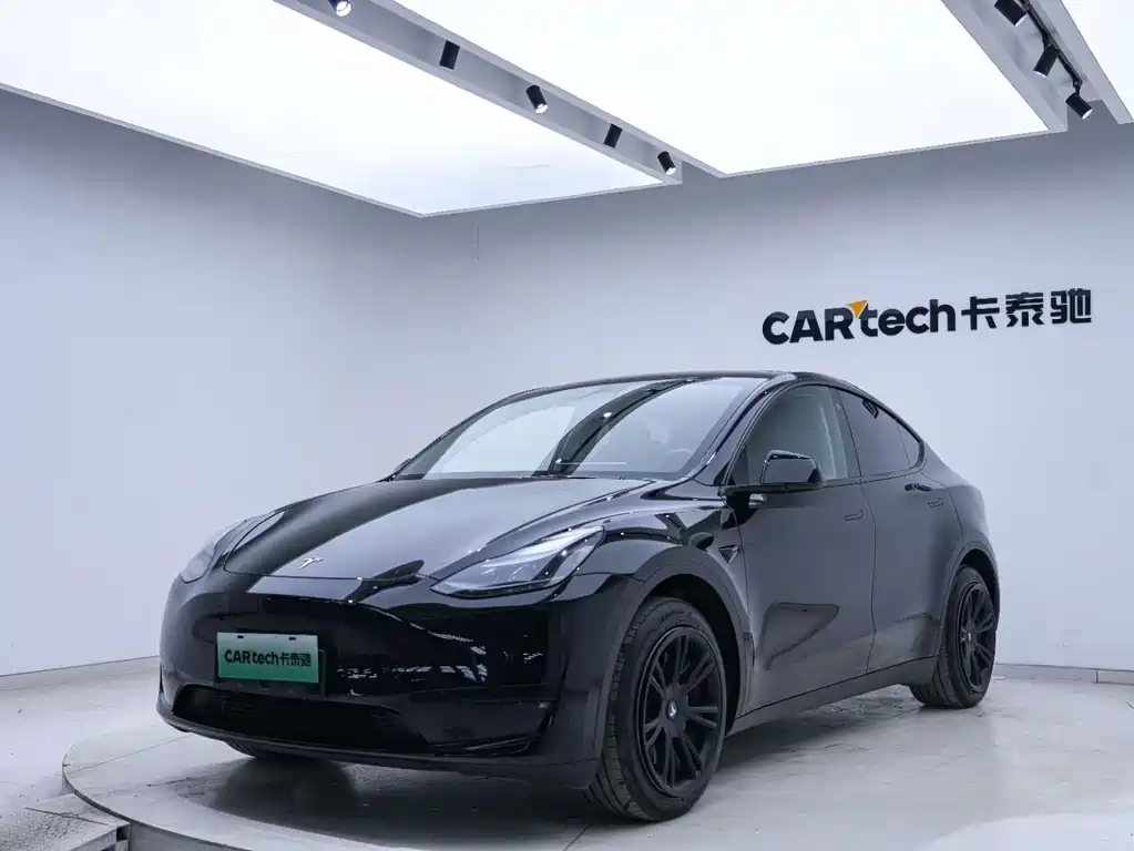 Tesla Model Y — миниатюра 22