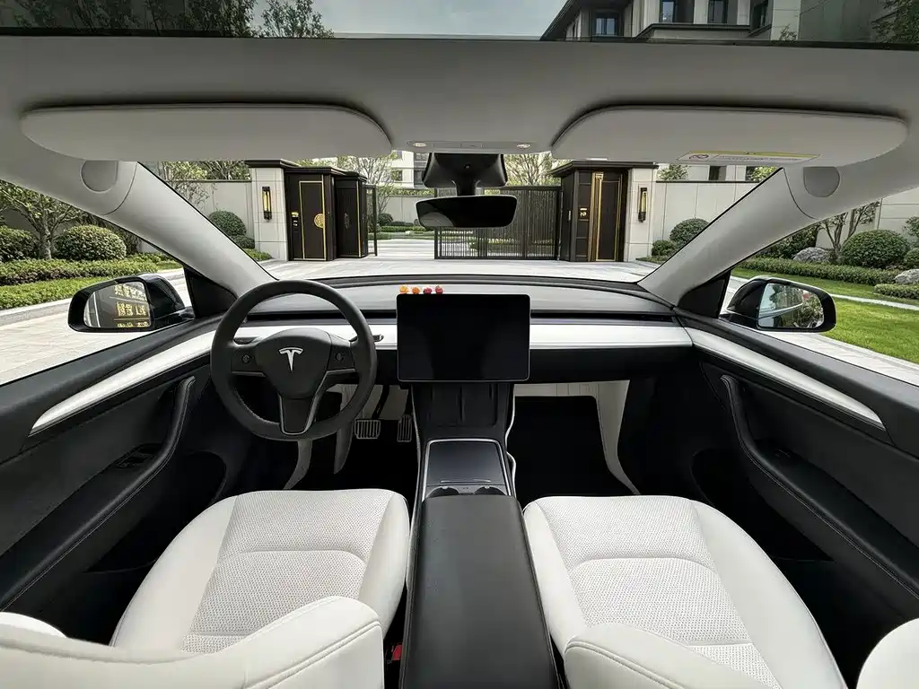 Tesla Model Y — миниатюра 5