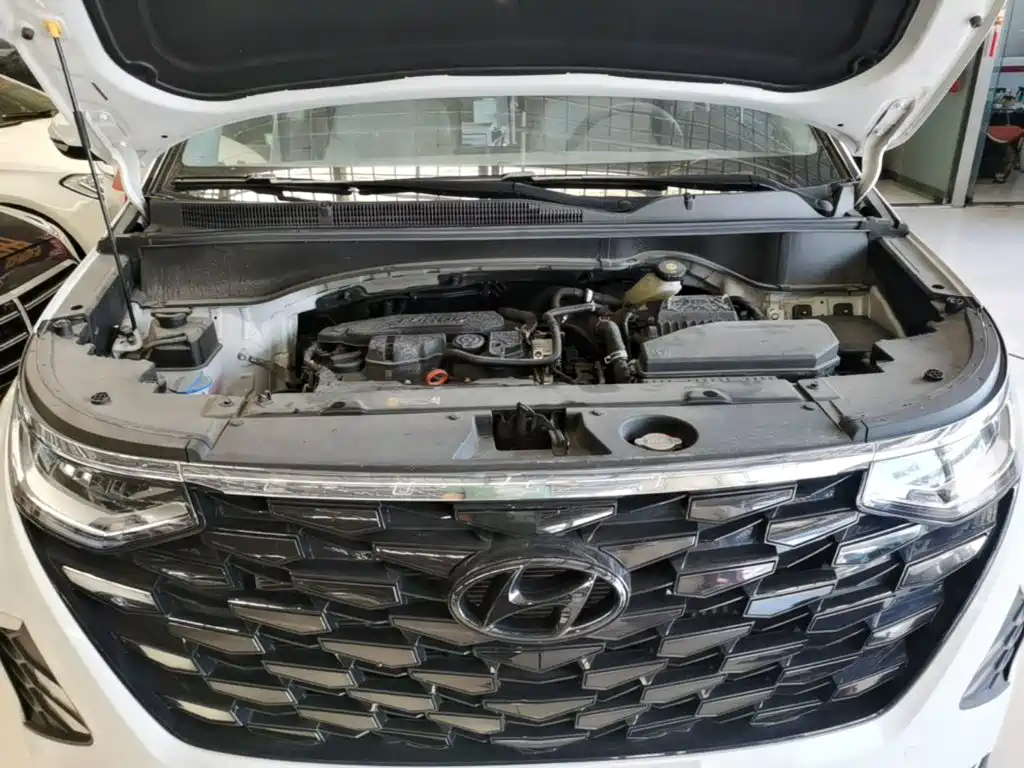 Hyundai Custo — миниатюра 20