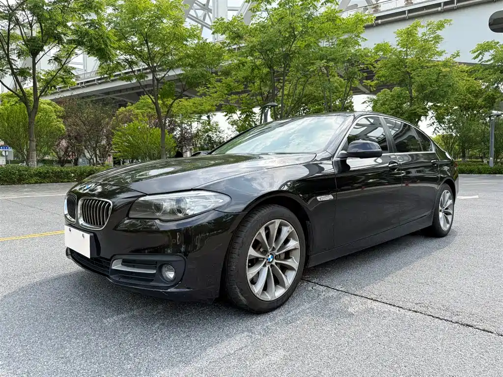 BMW 5 Series 2015