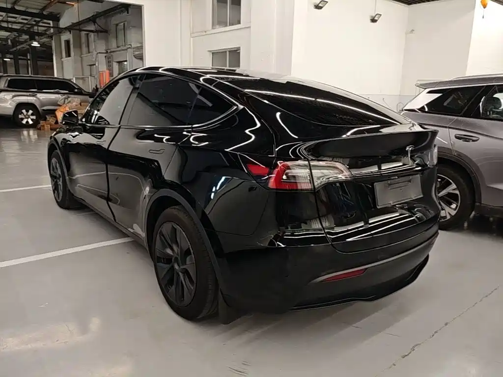 Tesla Model Y — миниатюра 5
