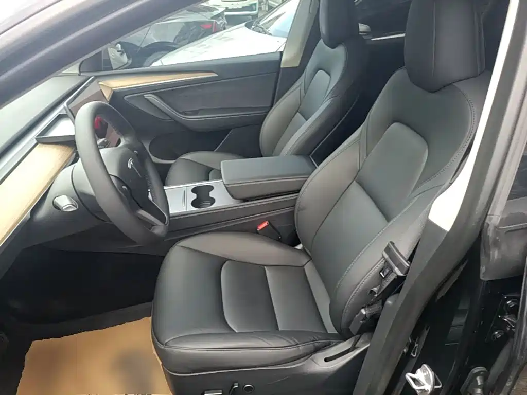 Tesla Model Y — миниатюра 15