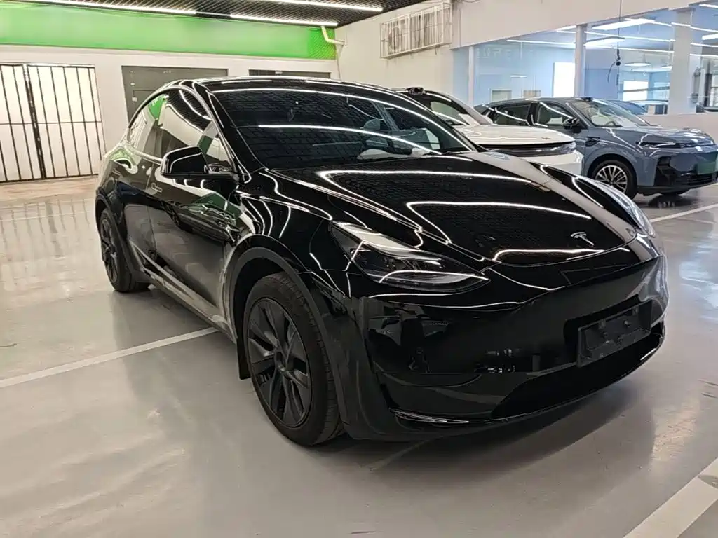Tesla Model Y — миниатюра 4