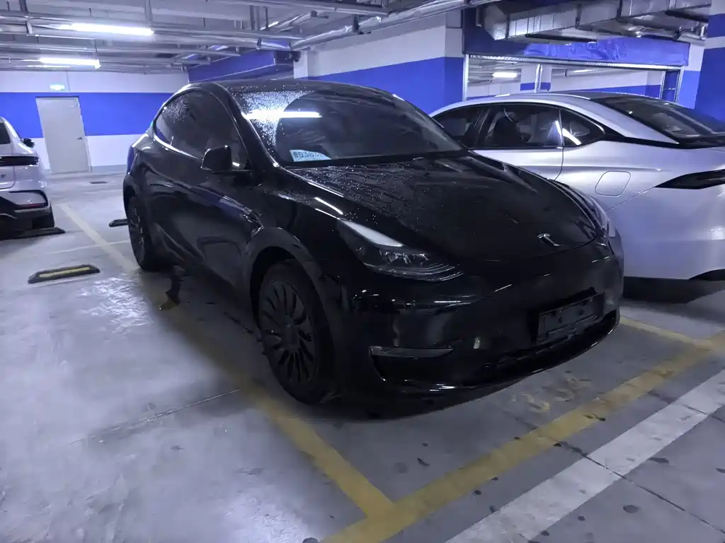 Tesla Model Y — миниатюра 3
