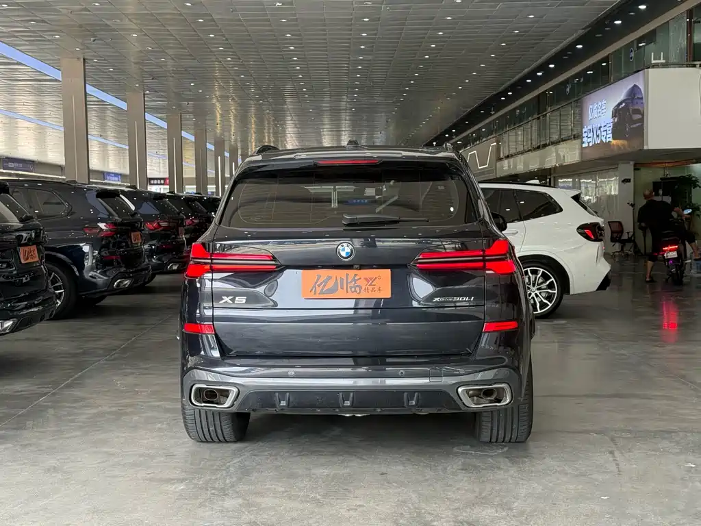 BMW X5 — миниатюра 10
