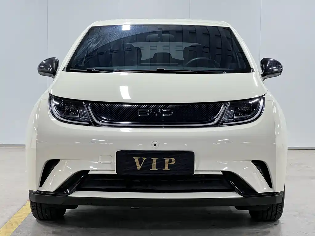 BYD Dolphin — миниатюра 2