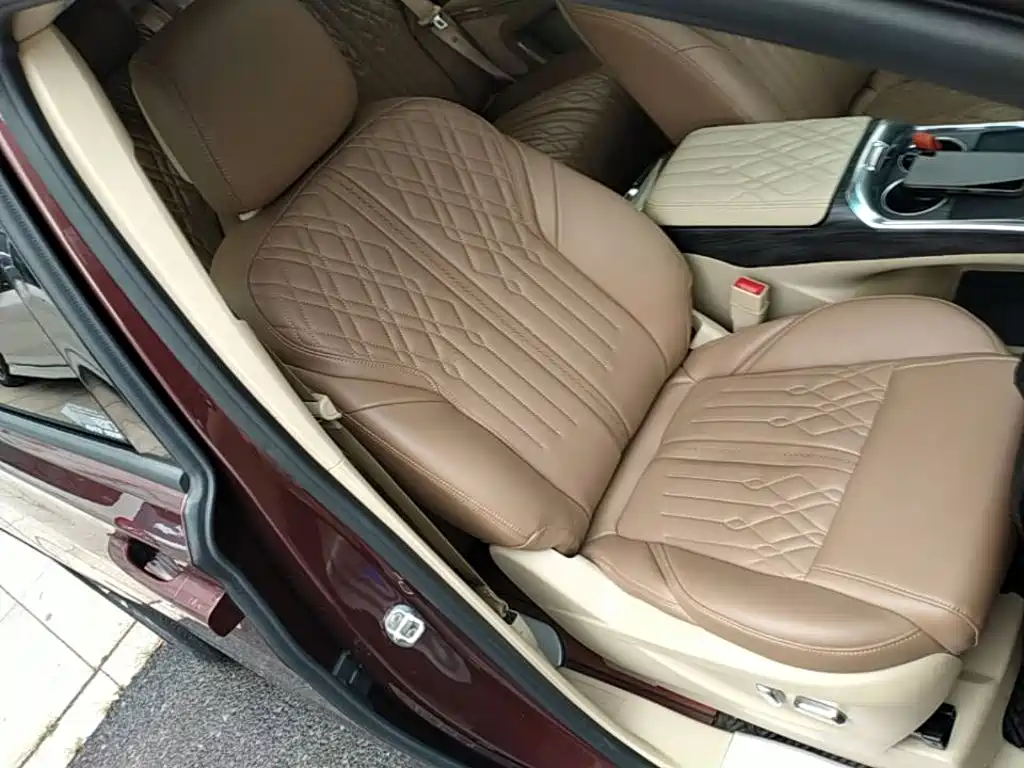 Buick GL8 — миниатюра 25