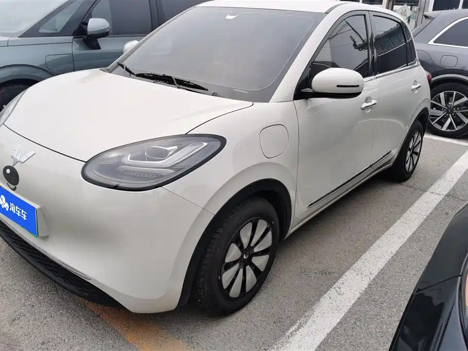 Wuling Bingo 2024