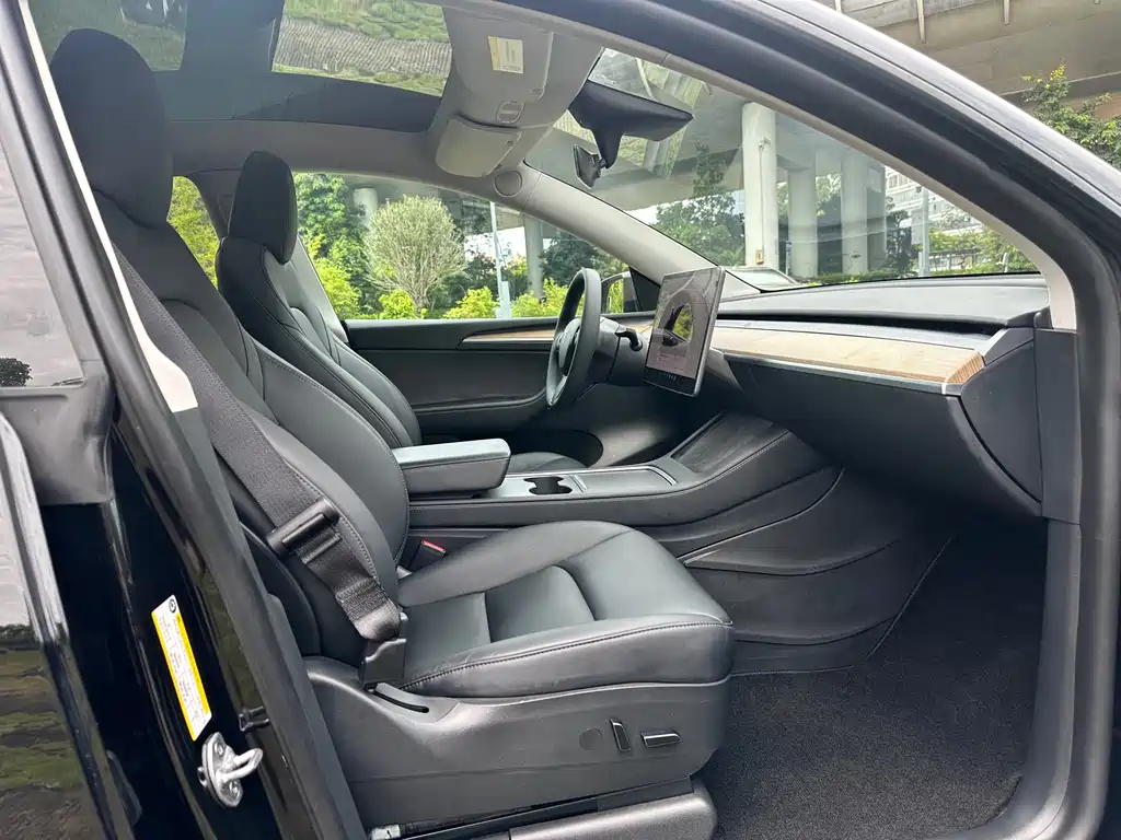 Tesla Model Y — миниатюра 9