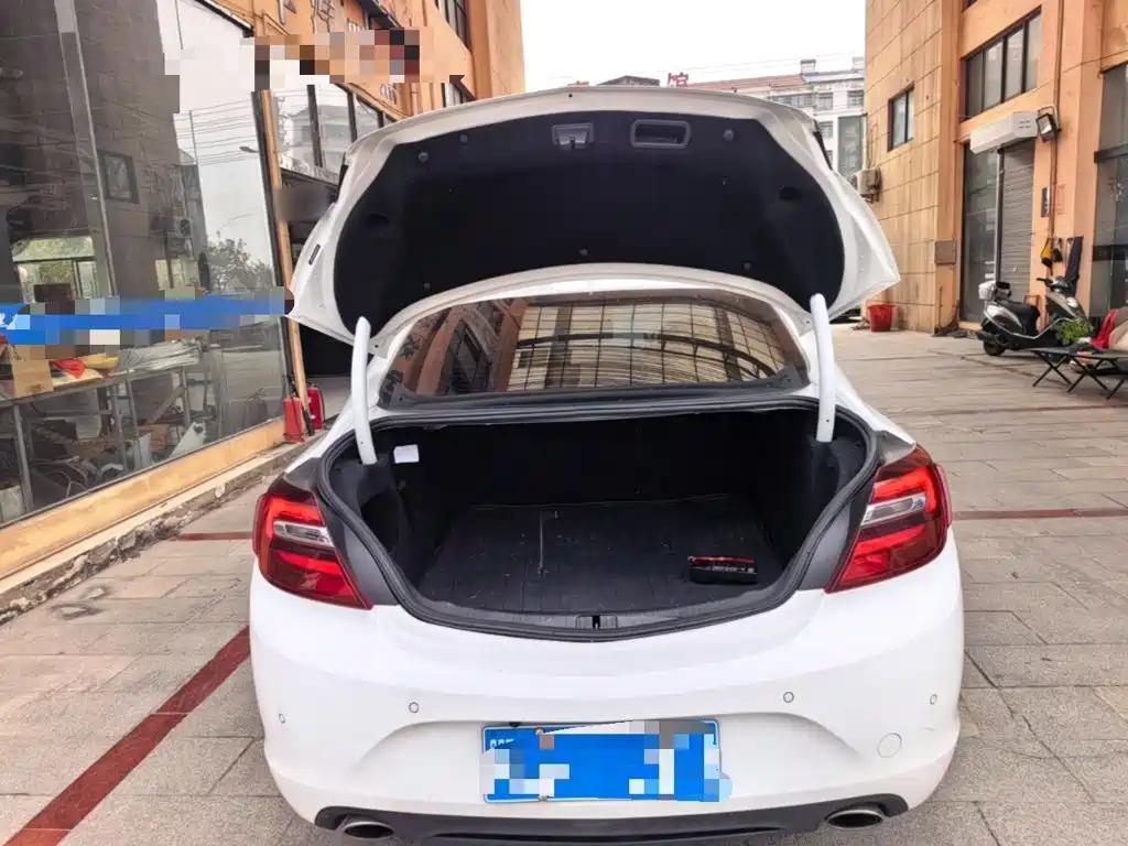 Buick Regal — миниатюра 19